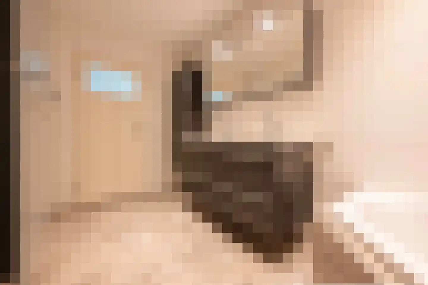 Gors 111 Hoeven thumbnail 23