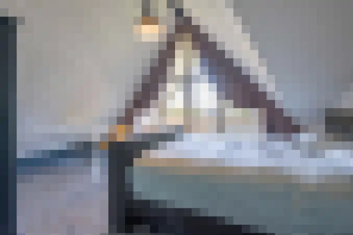 Gors 111 Hoeven thumbnail 30