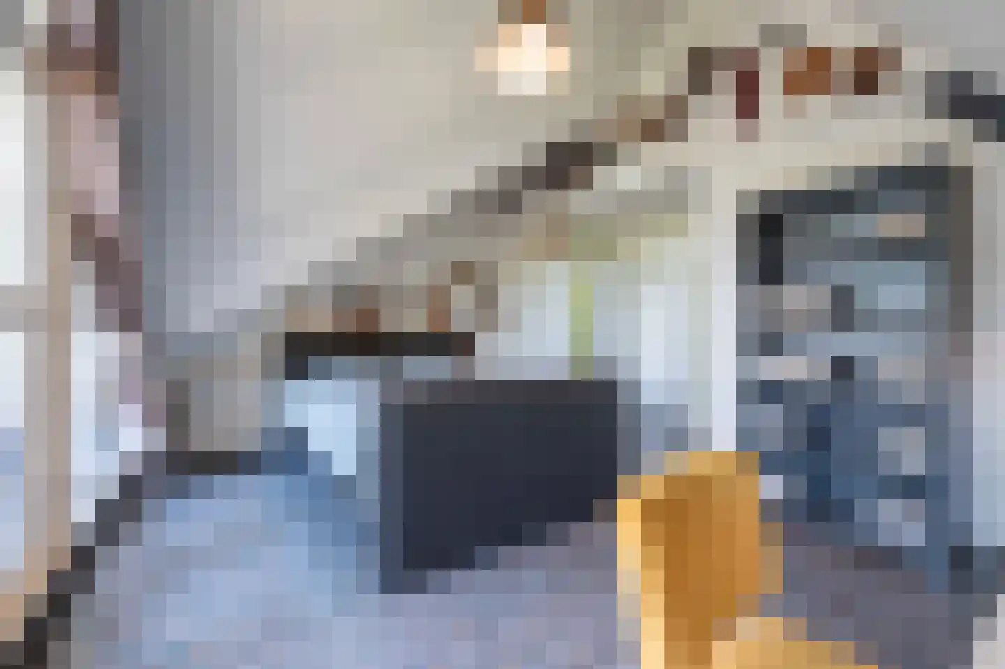 Gors 111 Hoeven thumbnail 31
