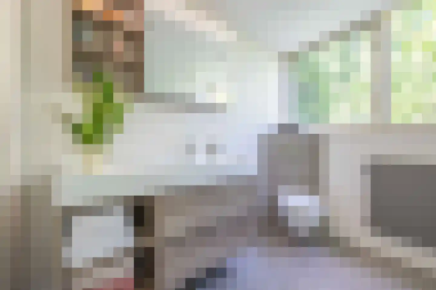 Gors 111 Hoeven thumbnail 35