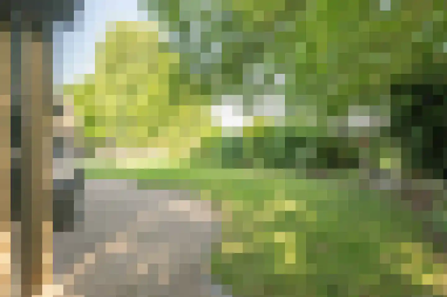 Gors 111 Hoeven thumbnail 39