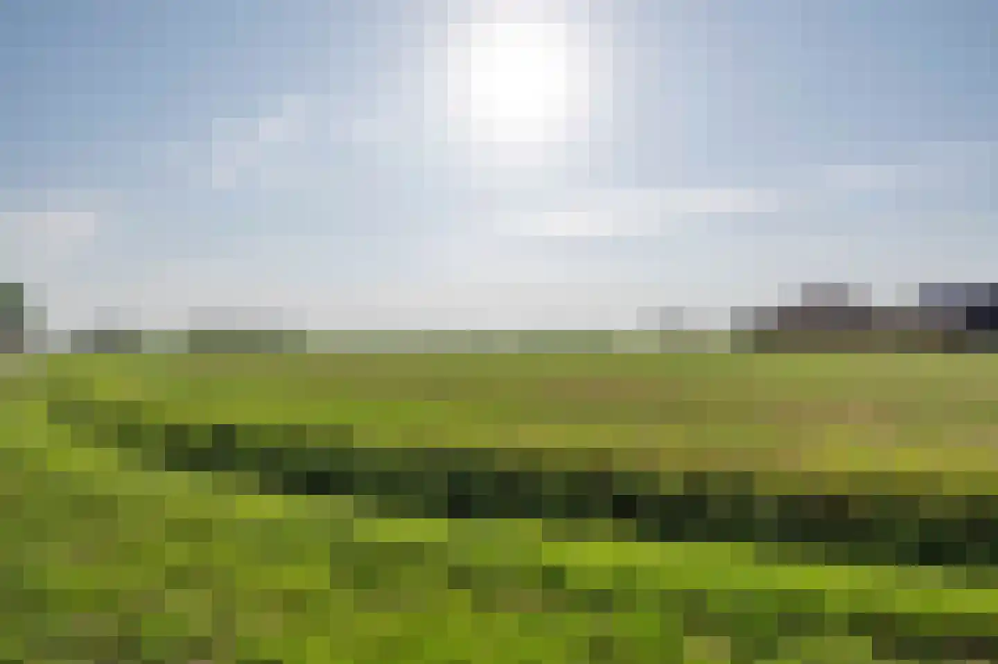 Gors 111 Hoeven thumbnail 4