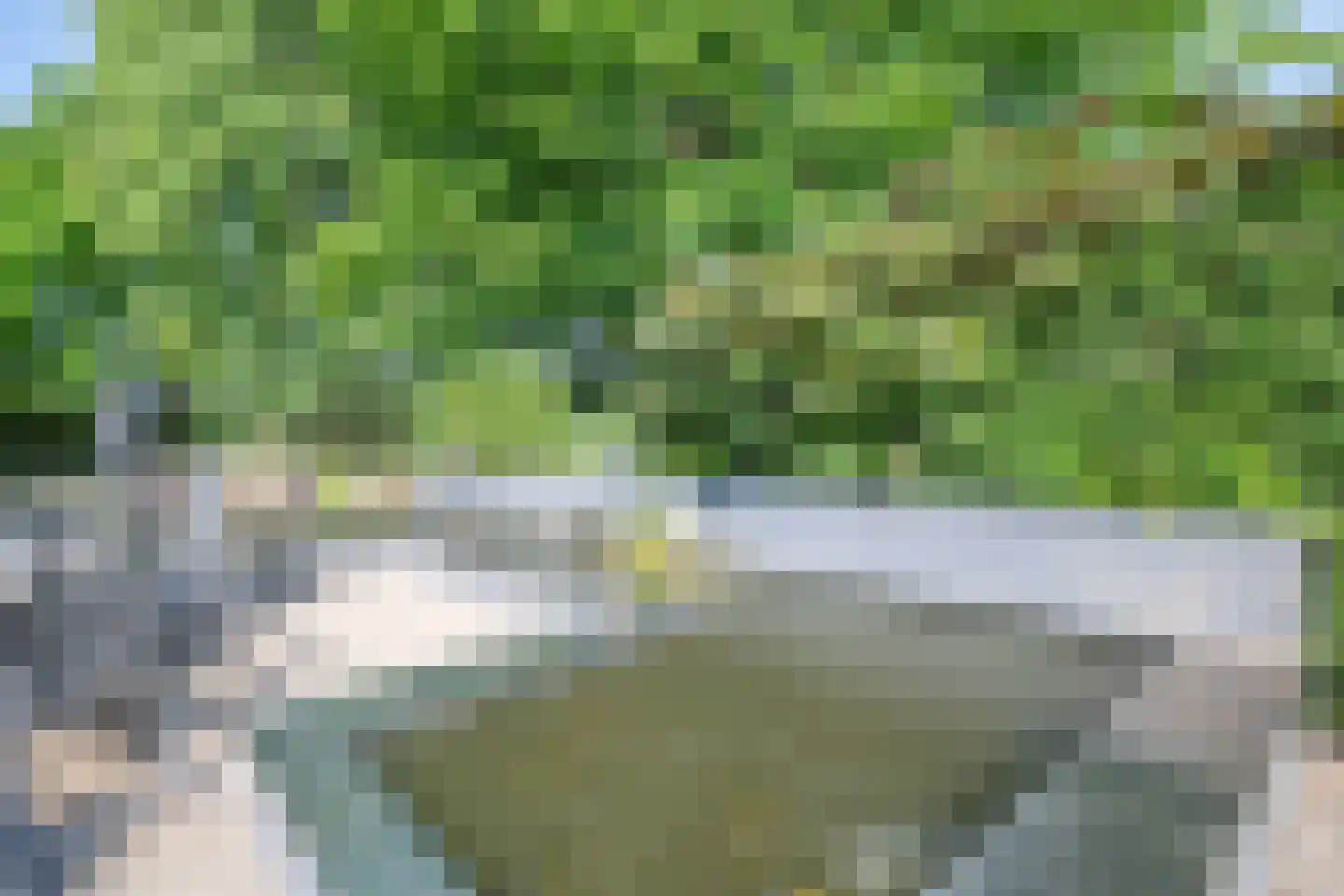 Gors 111 Hoeven thumbnail 43