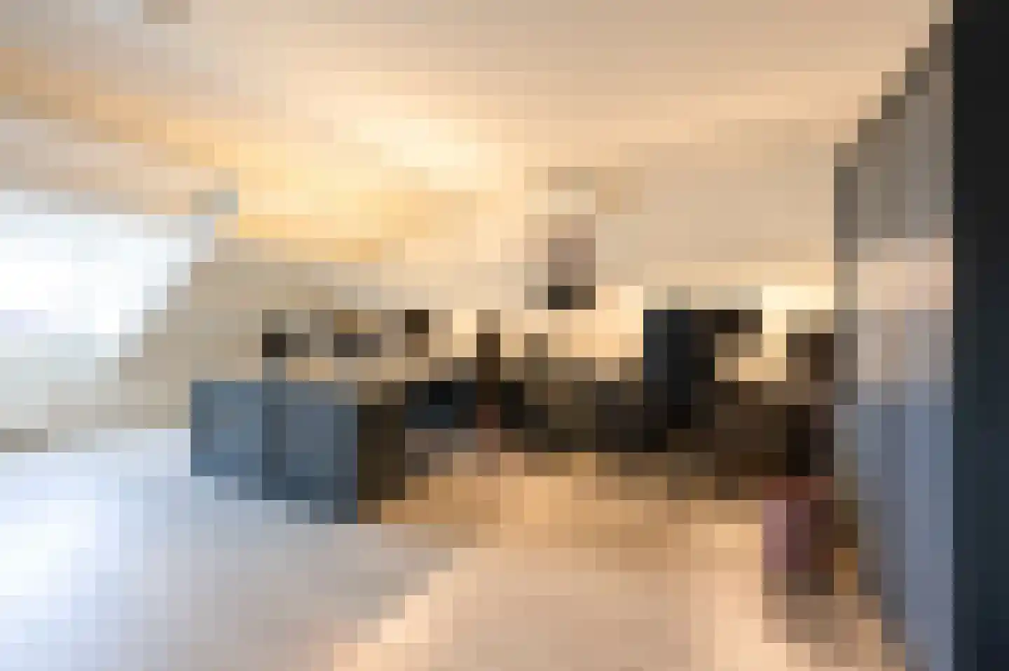Gors 111 Hoeven thumbnail 57