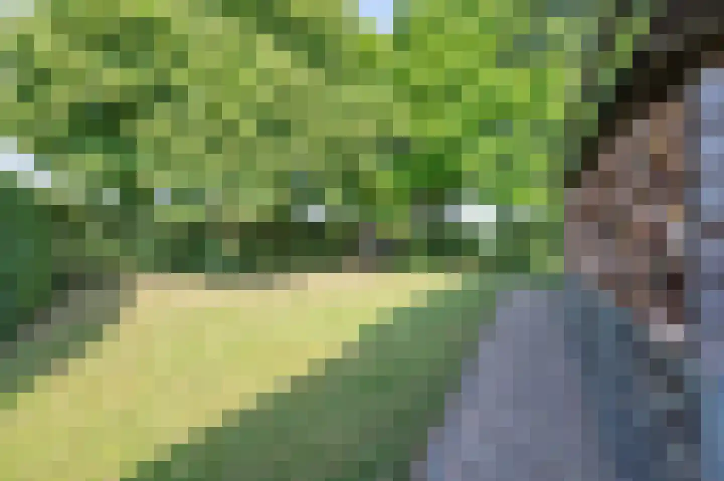 Gors 111 Hoeven thumbnail 58