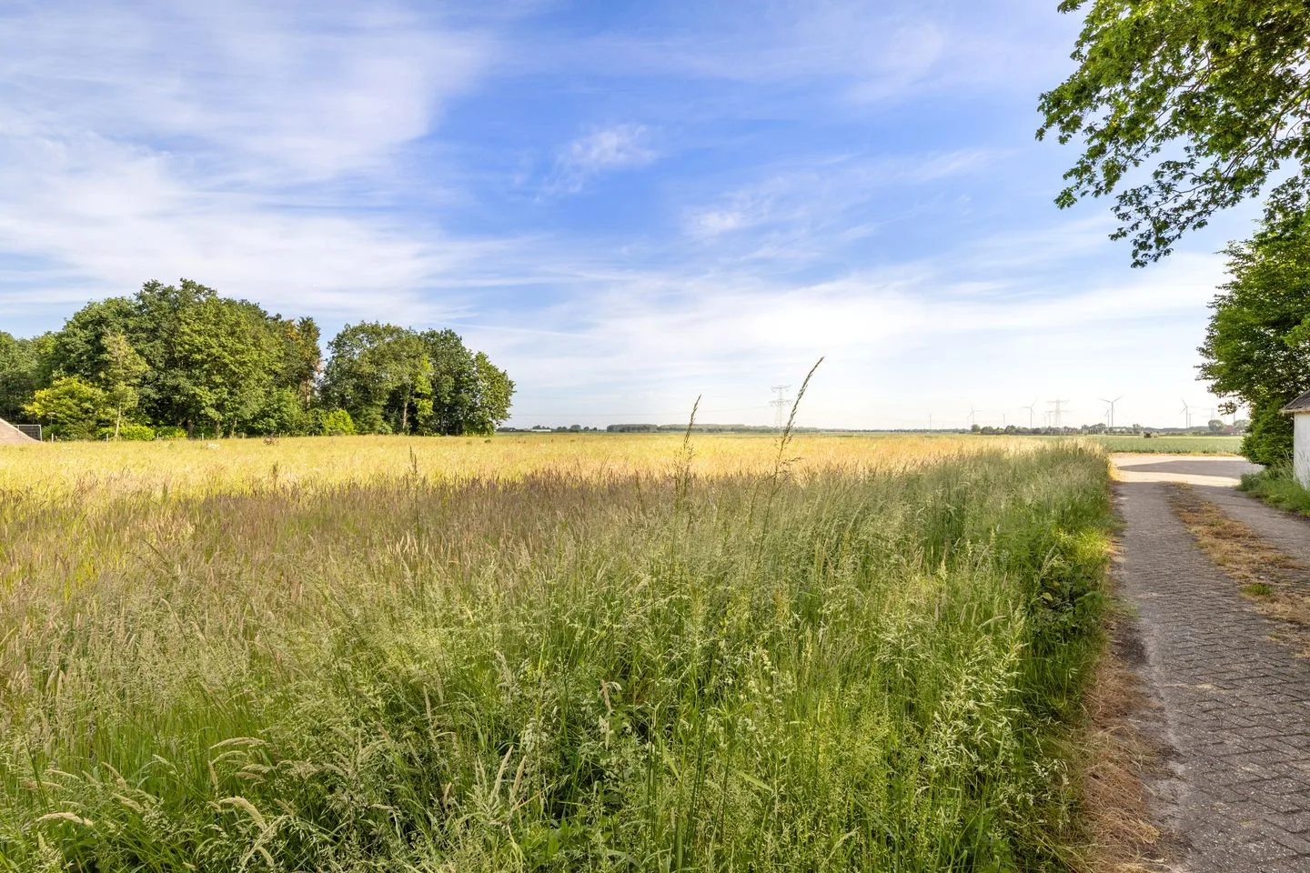 Gors 18 Hoeven thumbnail 56