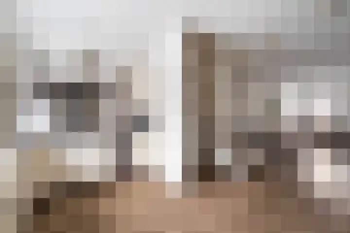 Gors 25 Pijnacker thumbnail 11