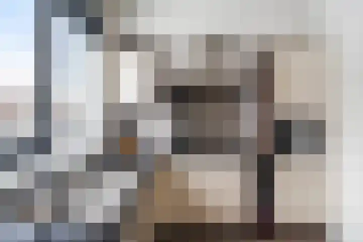 Gors 25 Pijnacker thumbnail 12