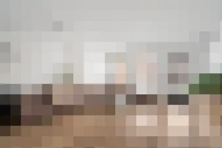 Gors 25 Pijnacker thumbnail 7