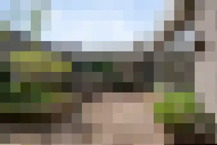 Gors 45 Lelystad foto 3