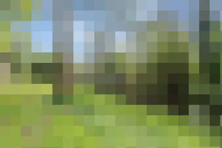 Gors 45 Lelystad thumbnail 32
