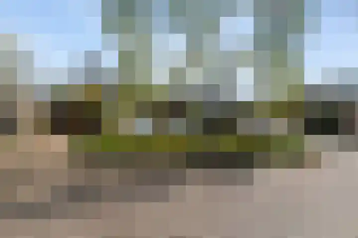 Gors 45 Lelystad thumbnail 38