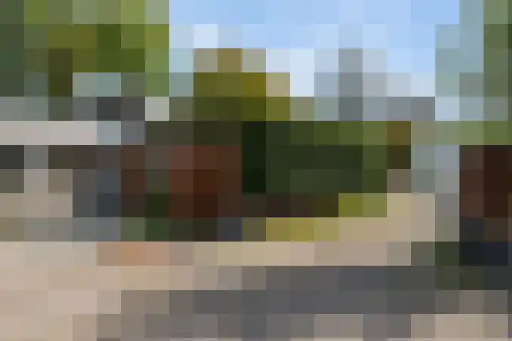 Gors 45 Lelystad thumbnail 39