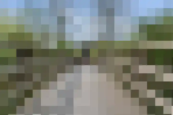 Gors 45 Lelystad thumbnail 40