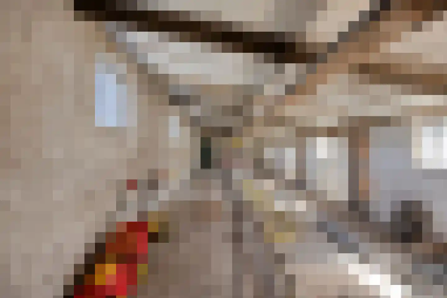 Gors 47 Hoeven thumbnail 15