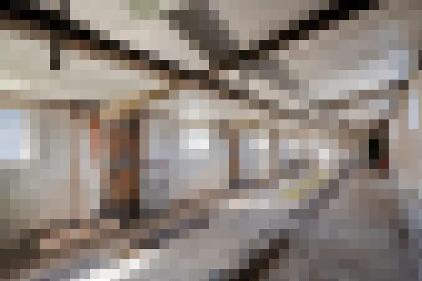 Gors 47 Hoeven thumbnail 16