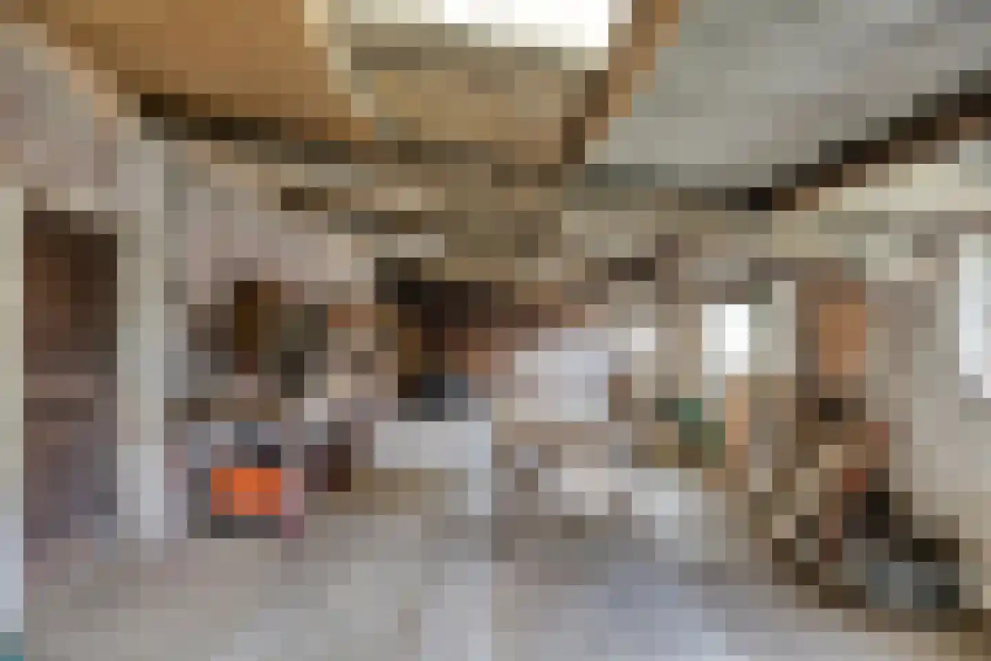 Gors 47 Hoeven thumbnail 17