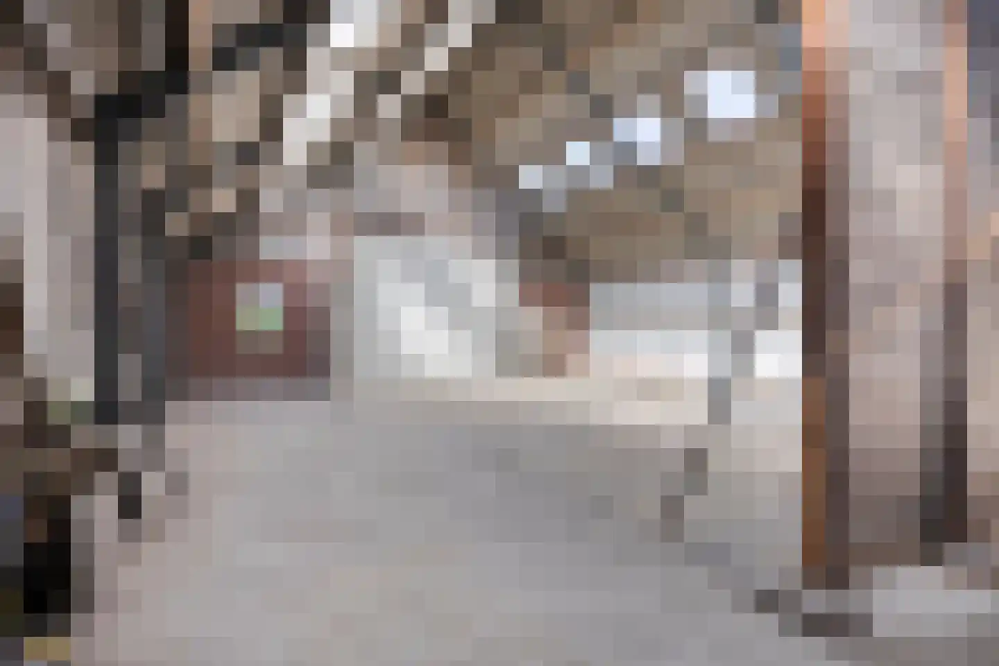 Gors 47 Hoeven thumbnail 19