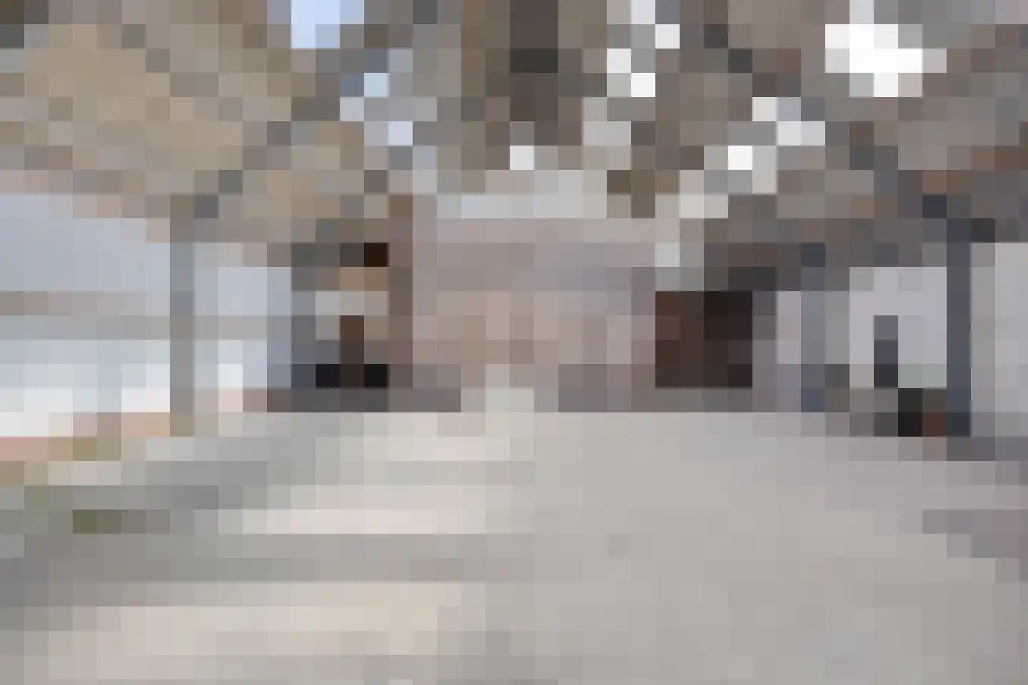 Gors 47 Hoeven thumbnail 20