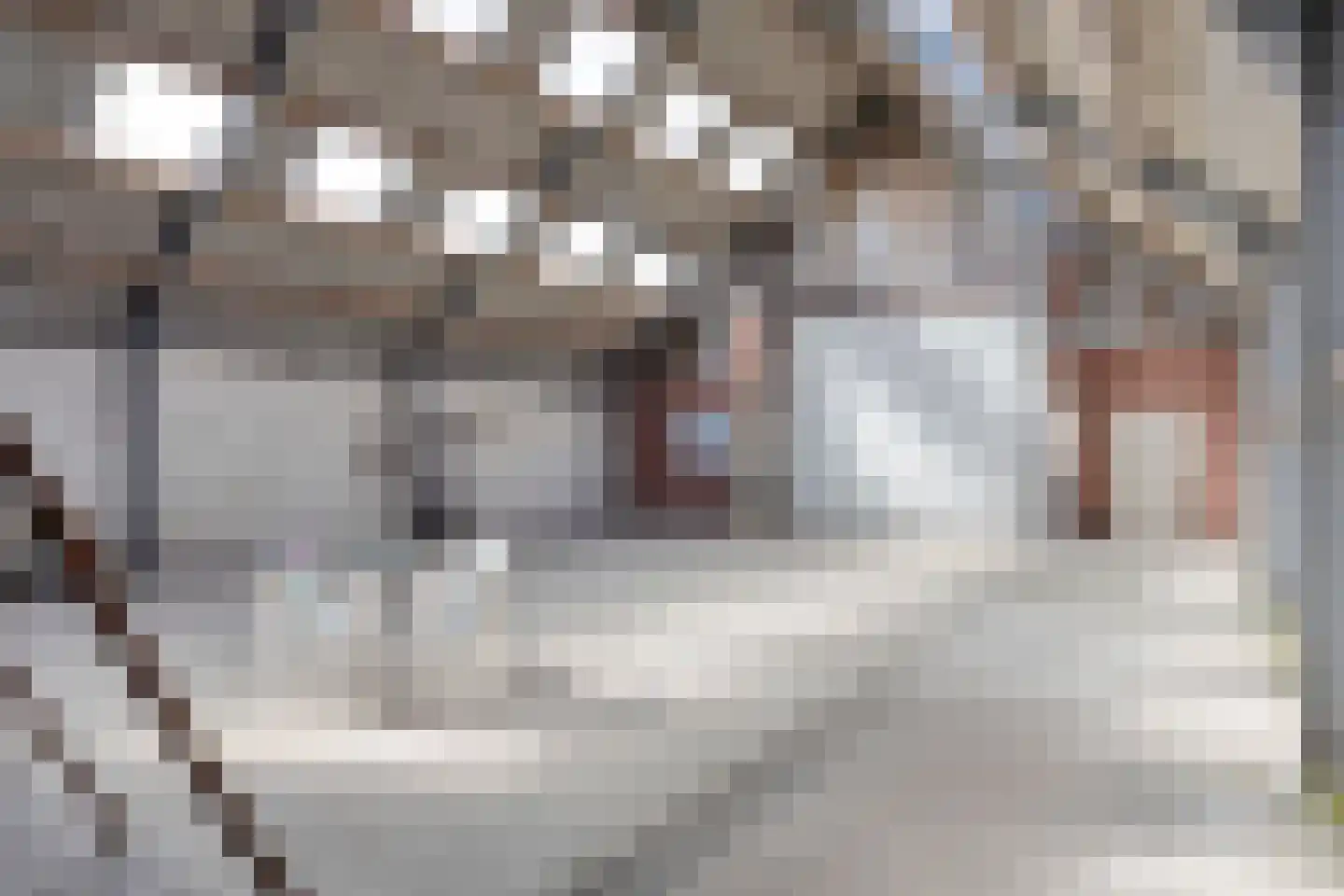 Gors 47 Hoeven thumbnail 21