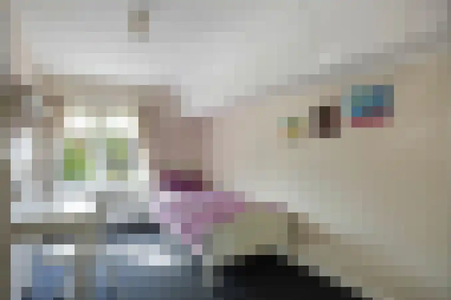 Gors 47 Hoeven thumbnail 29