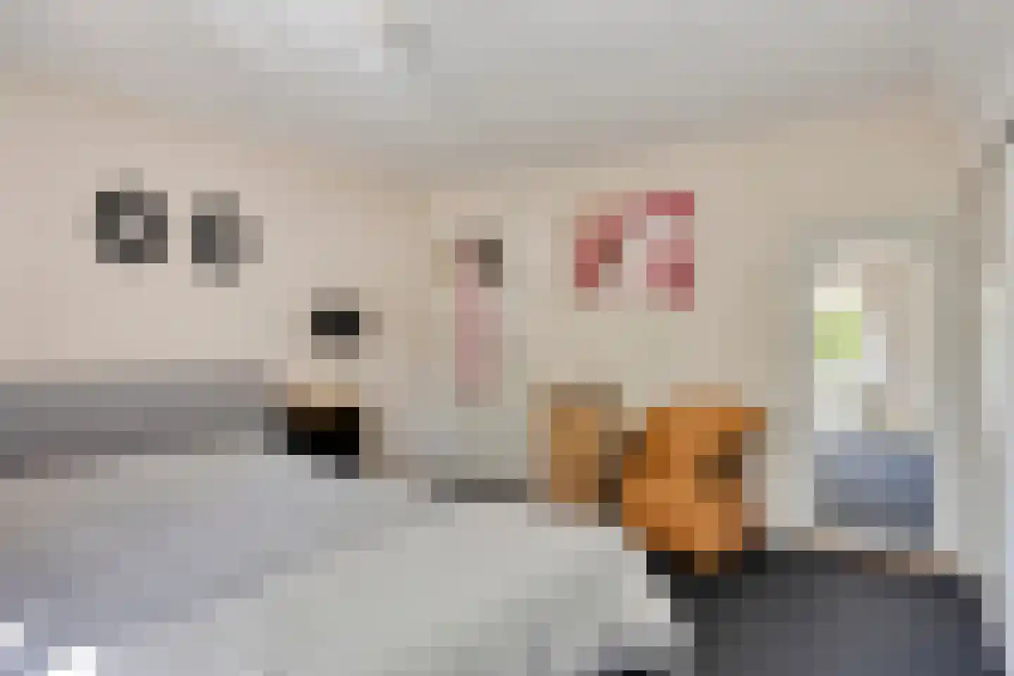 Gors 47 Hoeven thumbnail 36