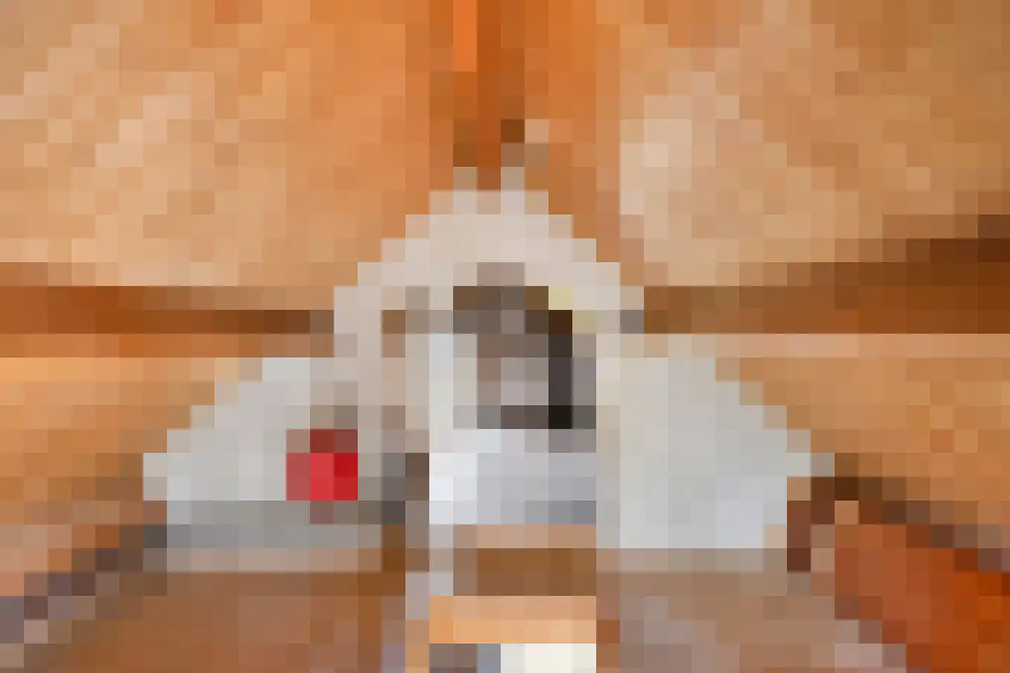 Gors 47 Hoeven thumbnail 38