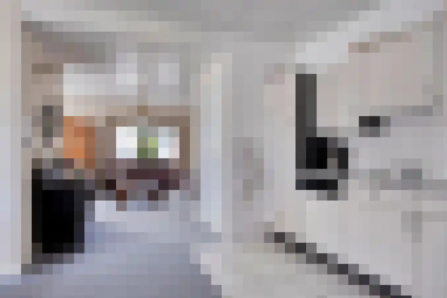 Gors 47 Hoeven thumbnail 39