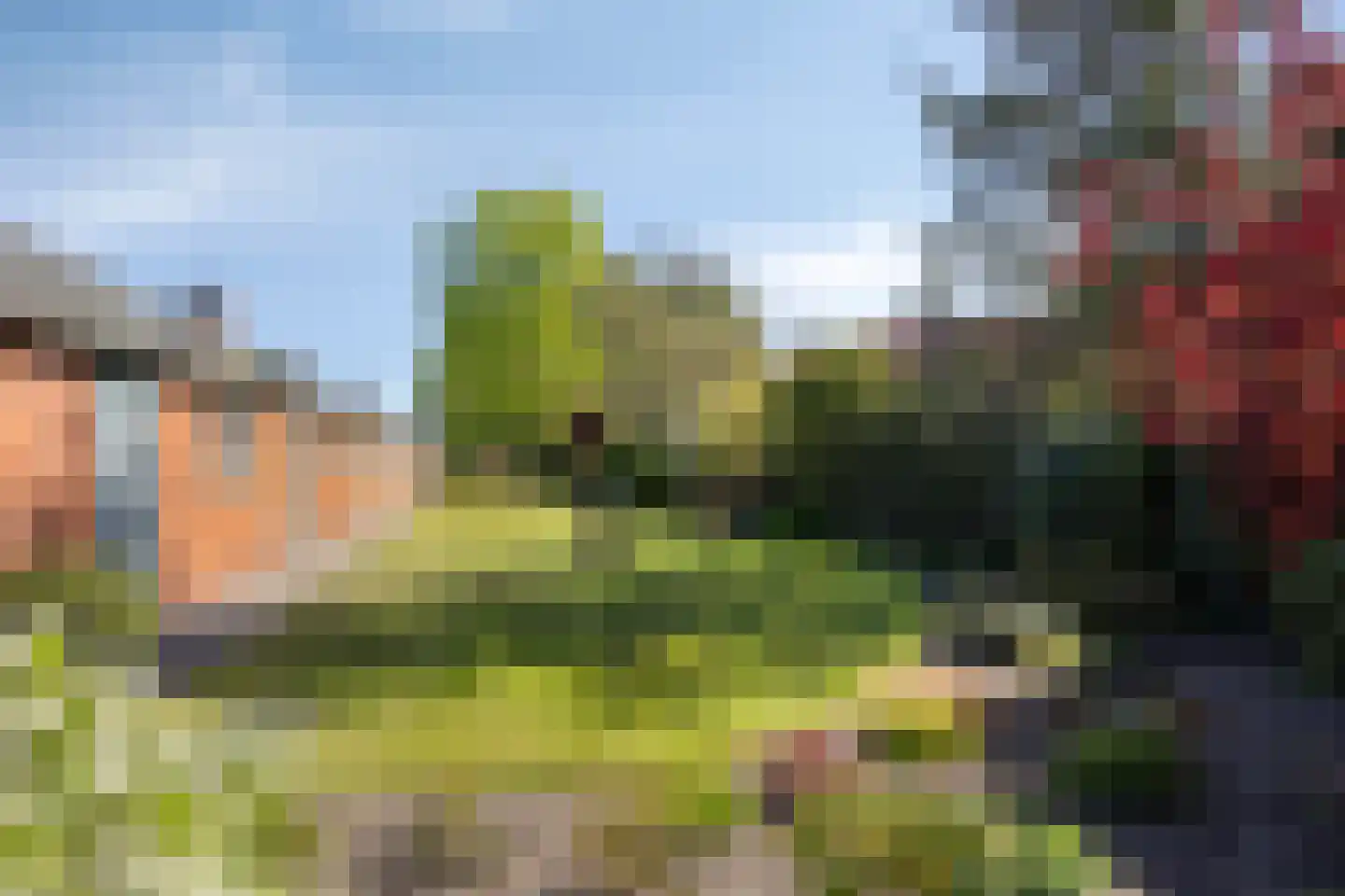 Gors 47 Hoeven thumbnail 4