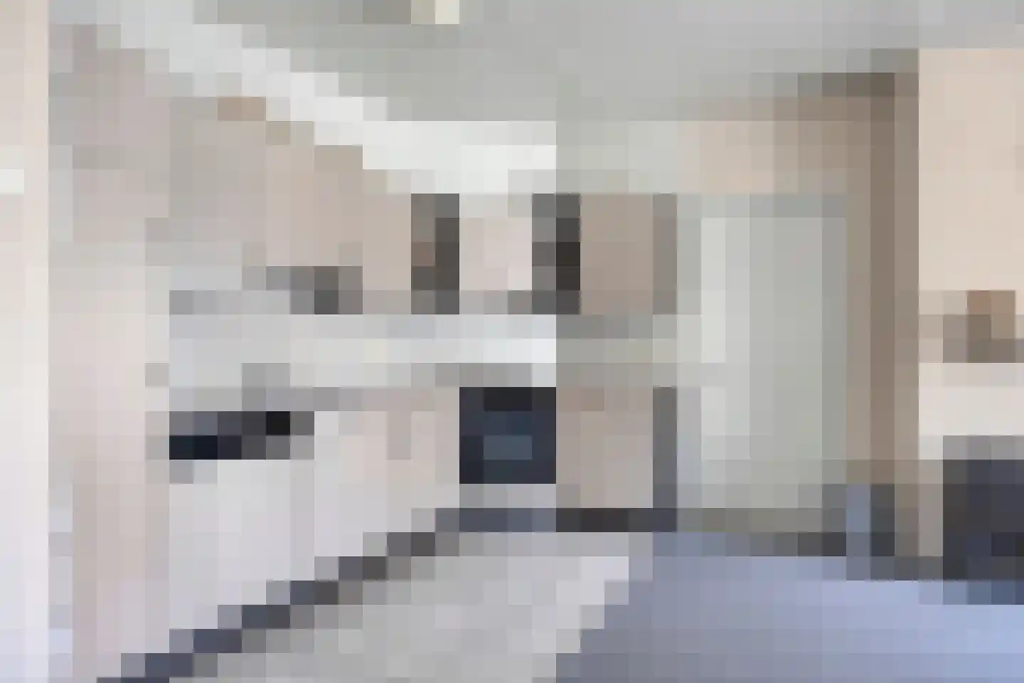 Gors 47 Hoeven thumbnail 40