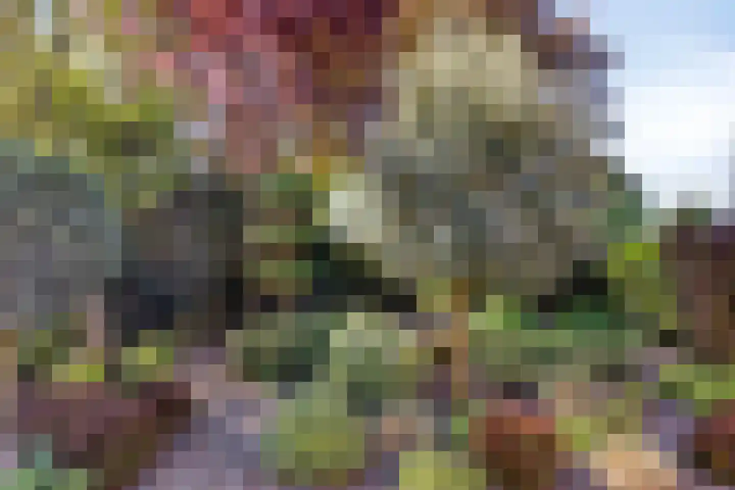 Gors 47 Hoeven thumbnail 5
