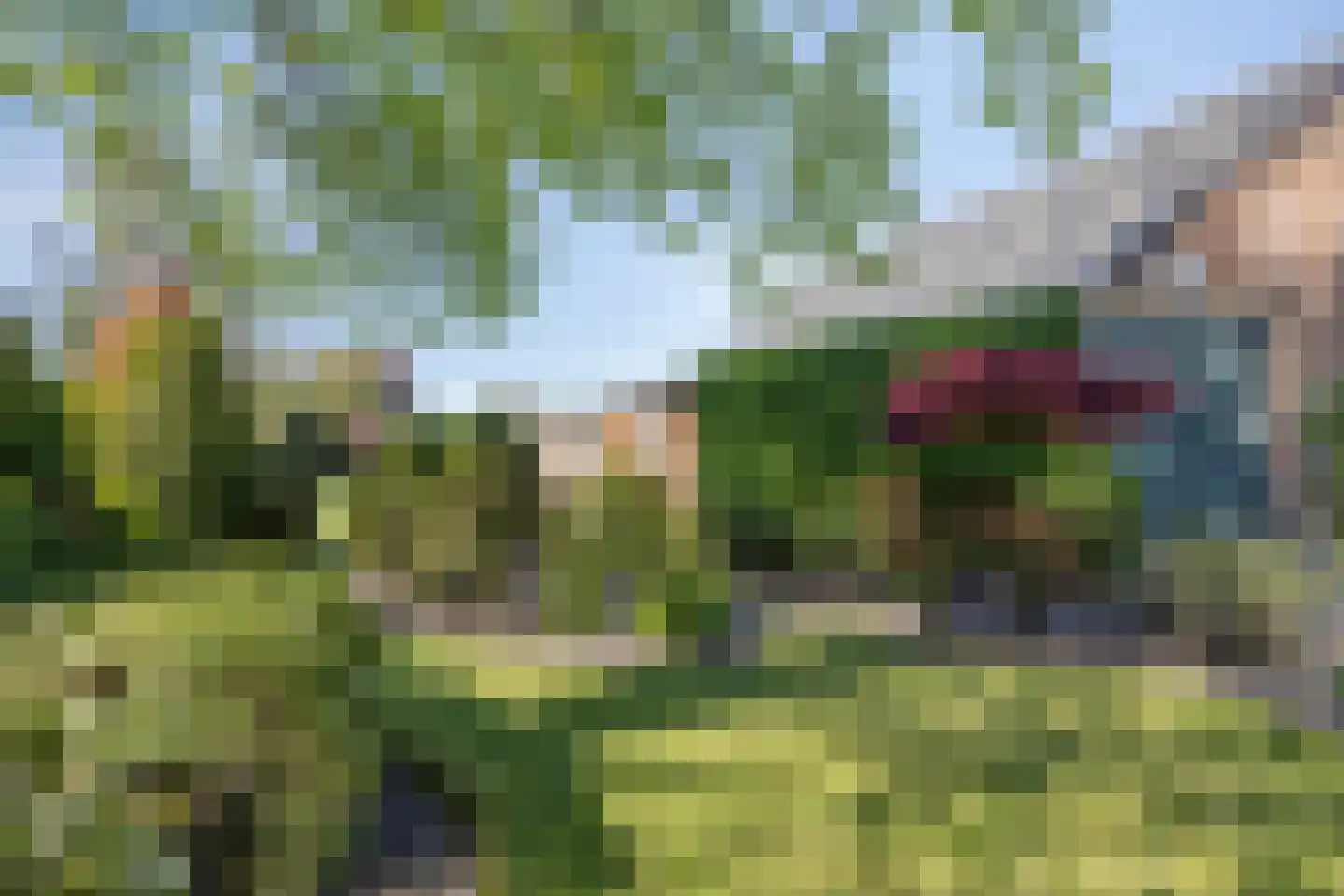 Gors 47 Hoeven thumbnail 6