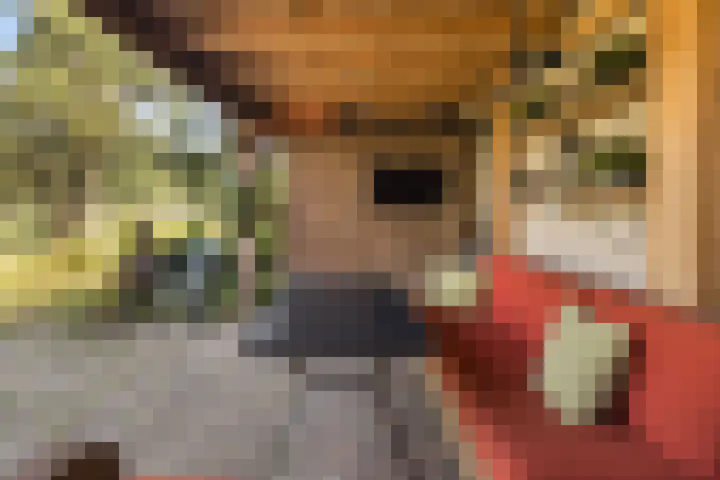 Gorsdijk 28 's-Gravendeel thumbnail 27