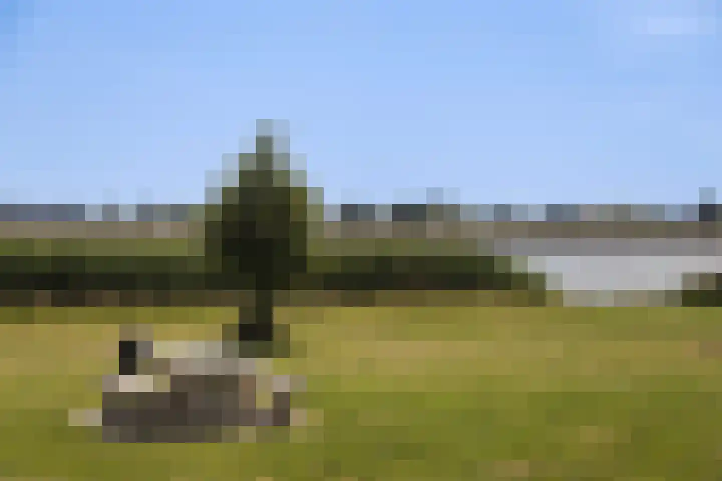 Gorsdijk 28 's-Gravendeel thumbnail 35