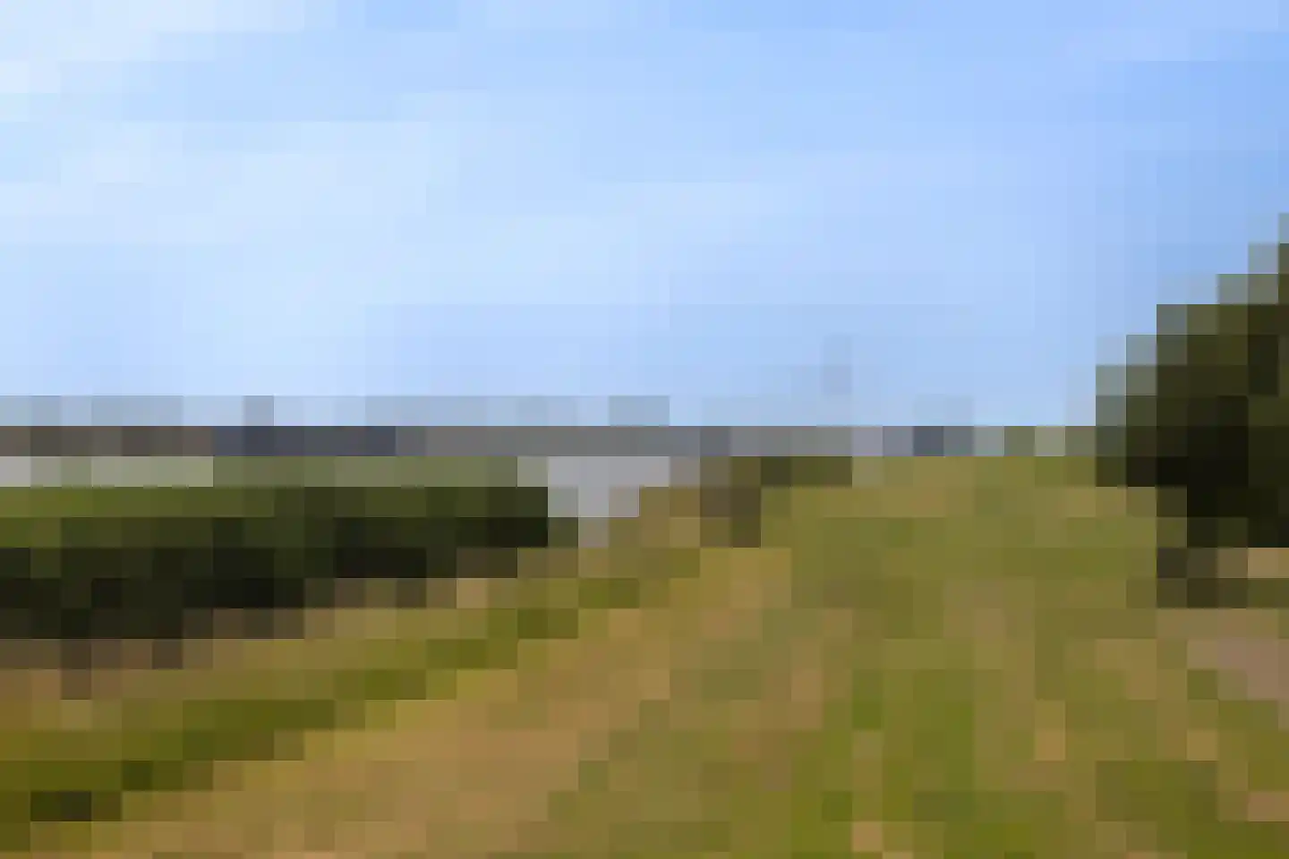 Gorsdijk 28 's-Gravendeel thumbnail 36
