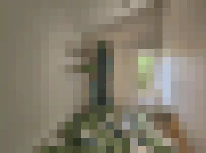 Gorsplein 2 c Oostvoorne thumbnail 11