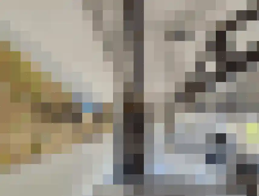 Gorsplein 2 c Oostvoorne thumbnail 19