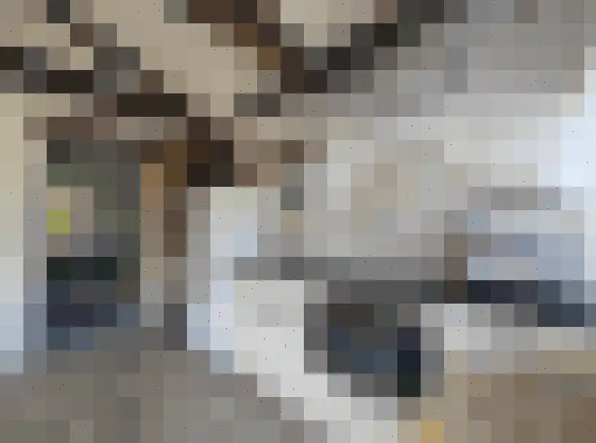 Gorsplein 2 c Oostvoorne thumbnail 20