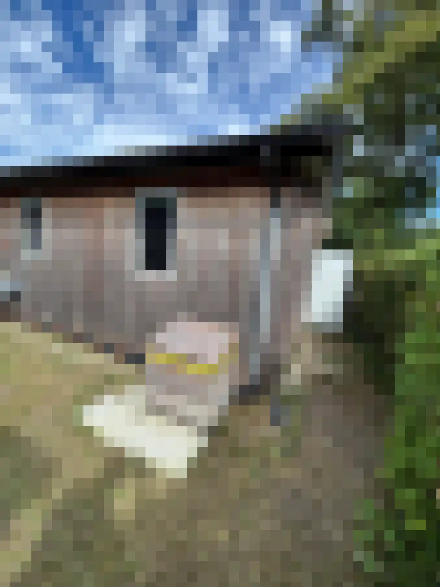 Gorsplein 2 Oostvoorne thumbnail 12