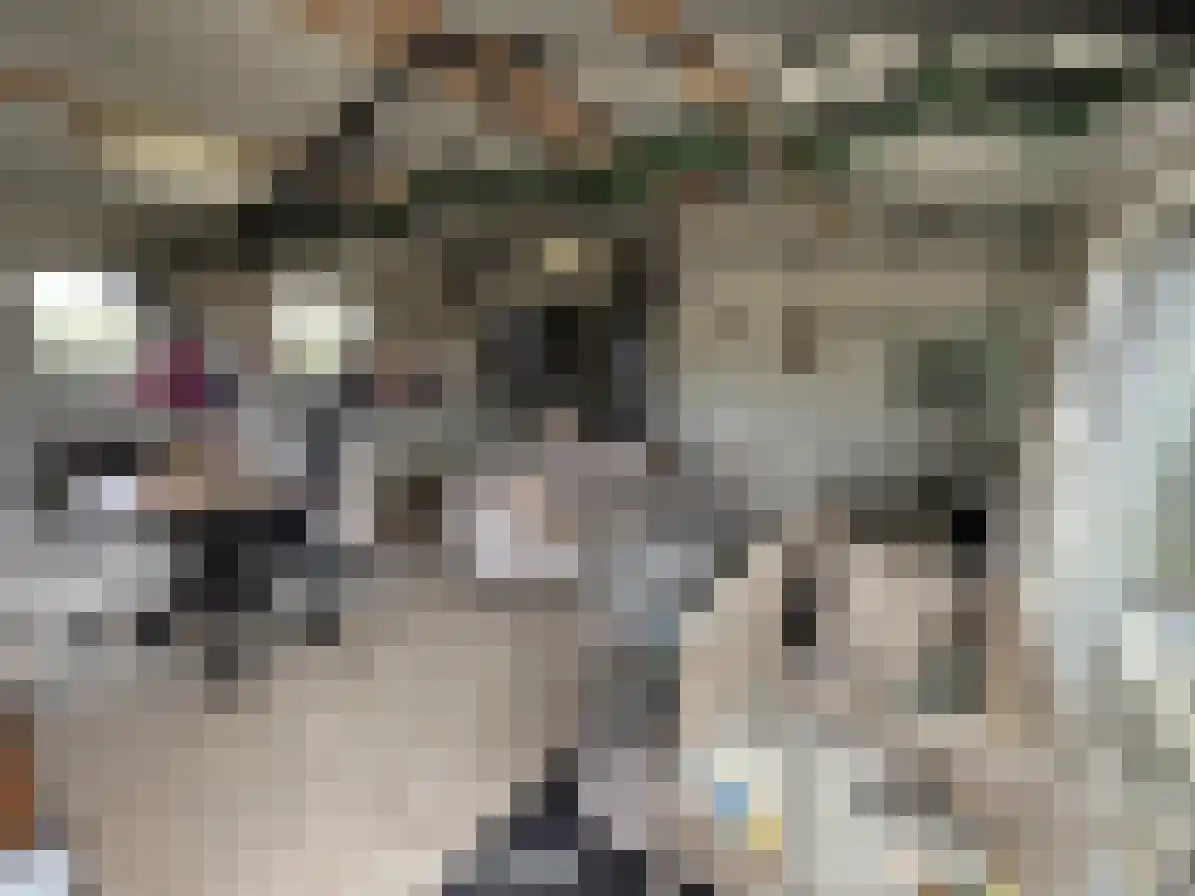 Gorsplein 2 Oostvoorne thumbnail 4