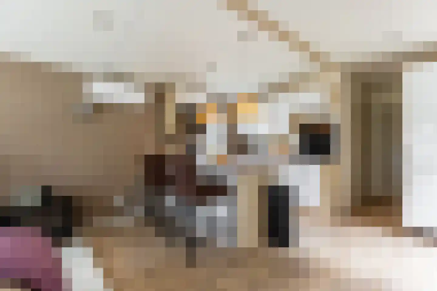 Gorsplein 26 Oostvoorne thumbnail 18