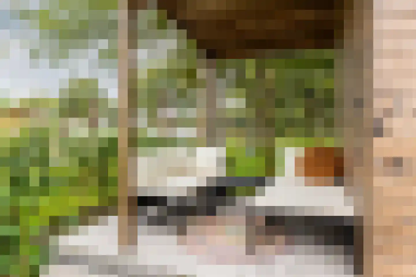 Gorsplein 26 Oostvoorne thumbnail 27