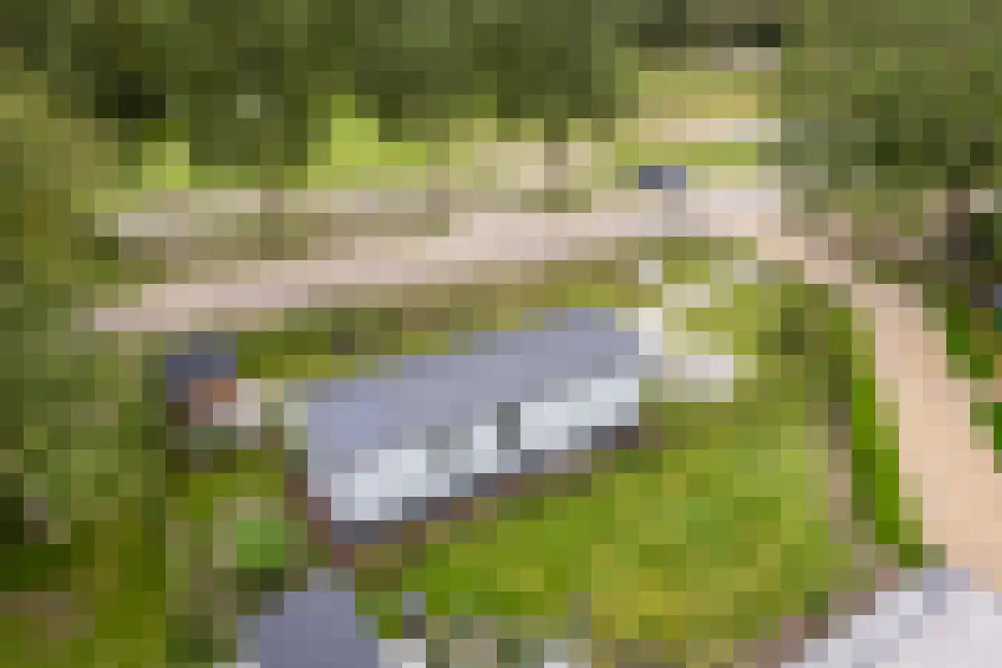 Gorsplein 26 Oostvoorne thumbnail 40