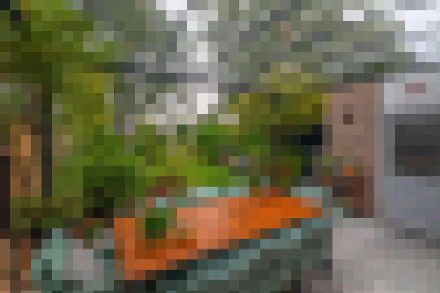 Gorsselhof 6 Tilburg thumbnail 18