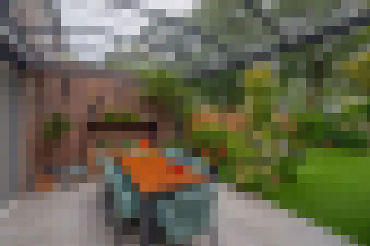 Gorsselhof 6 Tilburg thumbnail 19