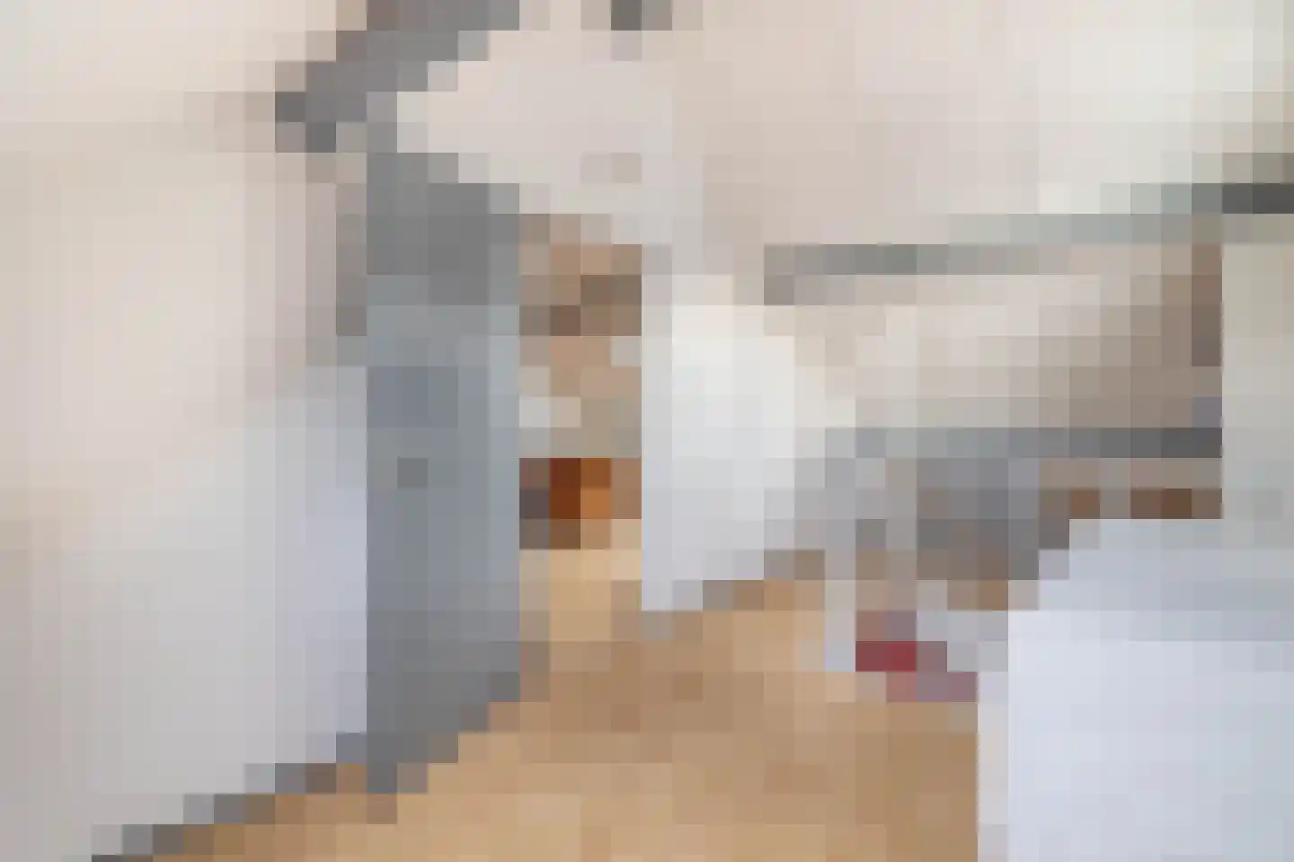 Gorsselhof 6 Tilburg thumbnail 31