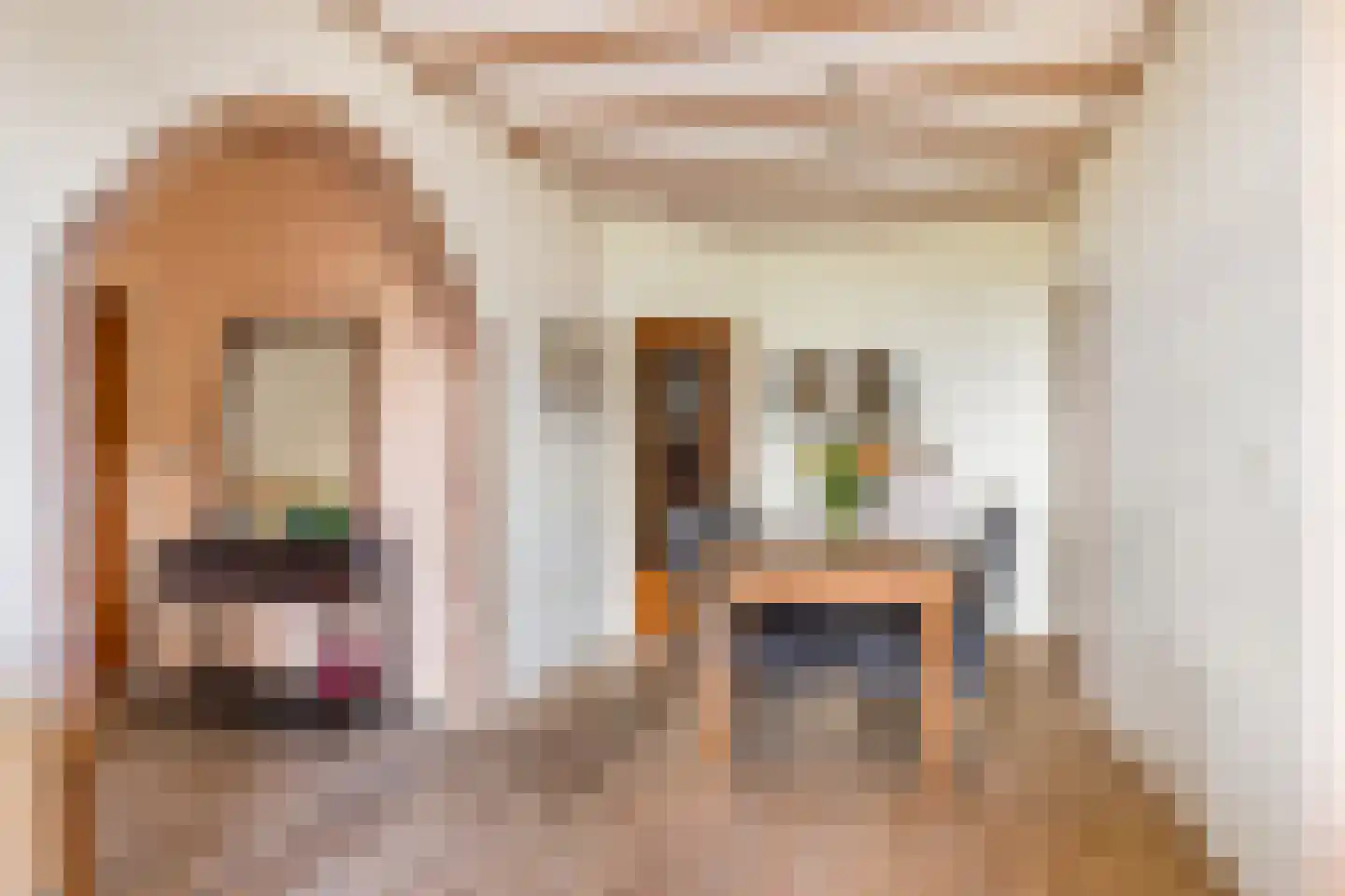 Gorsselseweg 32 A Bathmen thumbnail 11