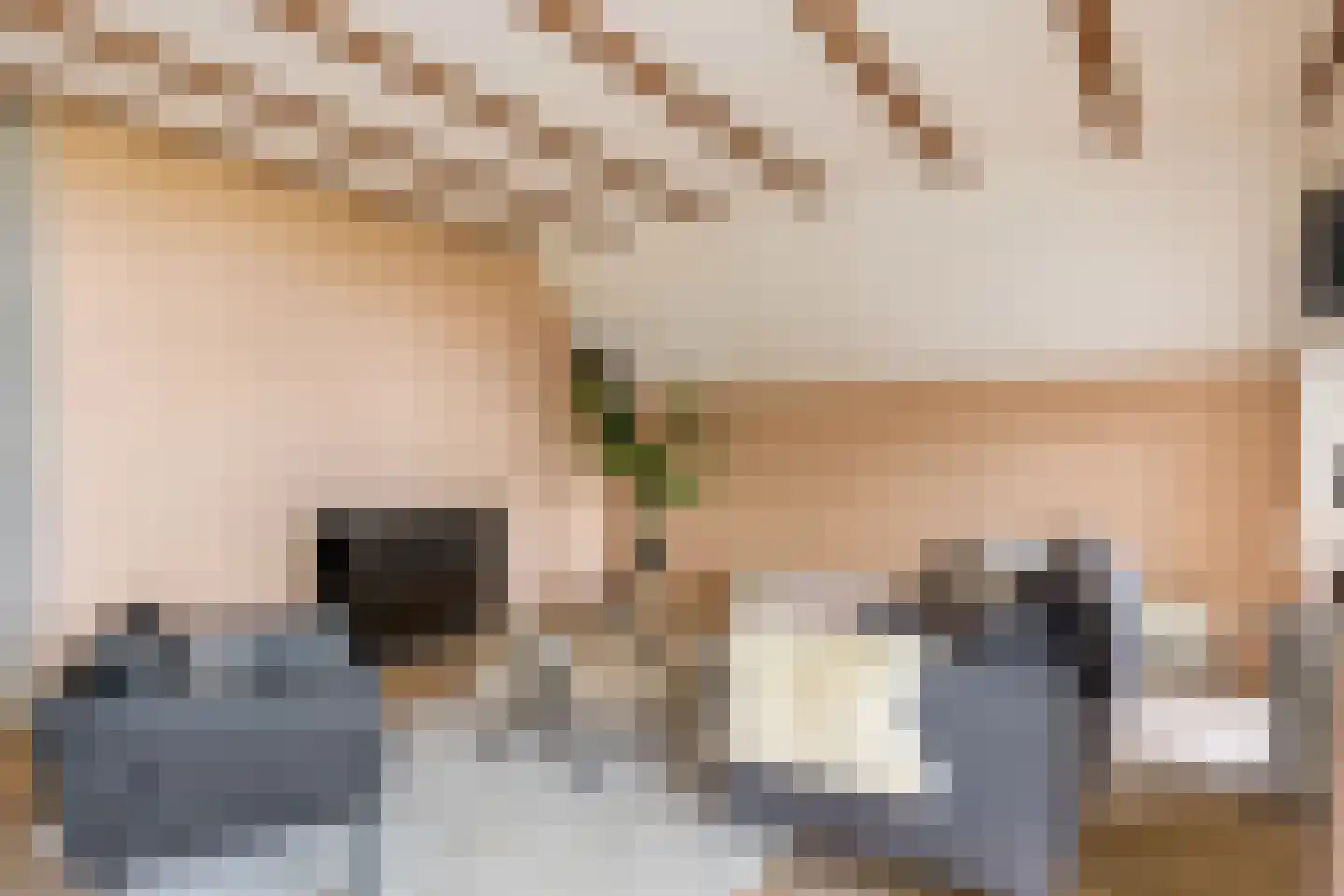 Gorsselseweg 32 A Bathmen thumbnail 5