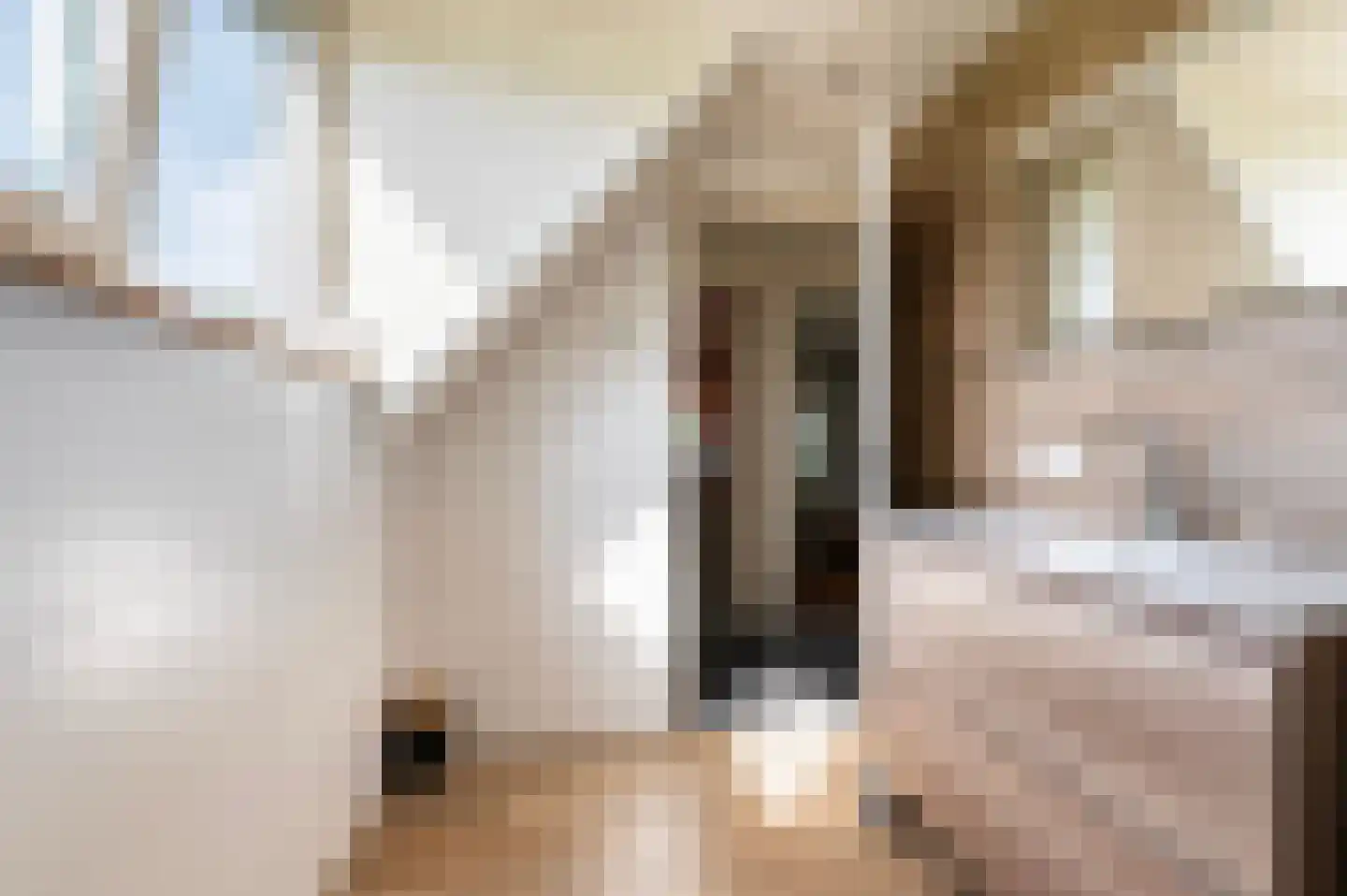 Gorsselseweg 33 Bathmen thumbnail 22
