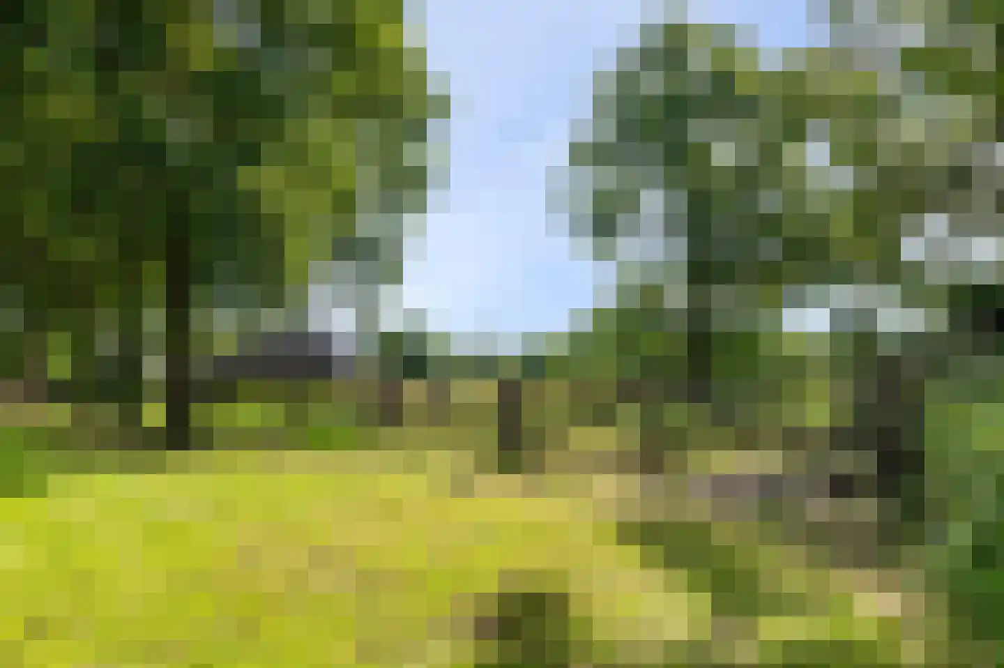 Gorsselseweg 33 Bathmen thumbnail 39